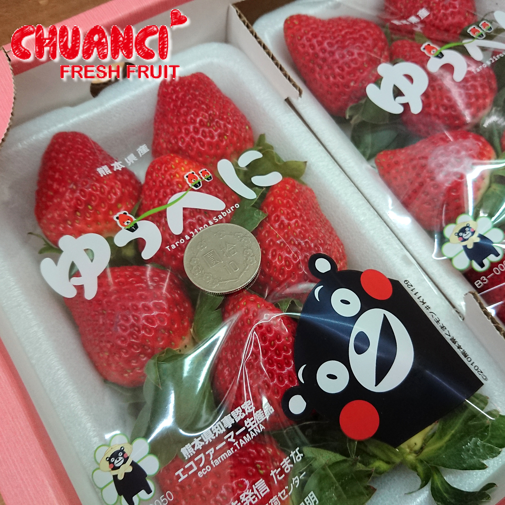 日本熊本草莓