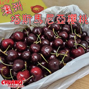 澳洲塔斯馬尼亞櫻桃