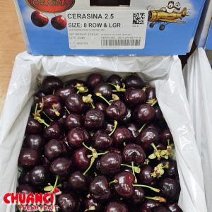 超大顆! 8R限量空運華盛頓櫻桃